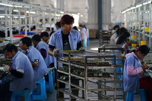 疫情下的堅守 一座邊境小城與攝影服務的中國之約